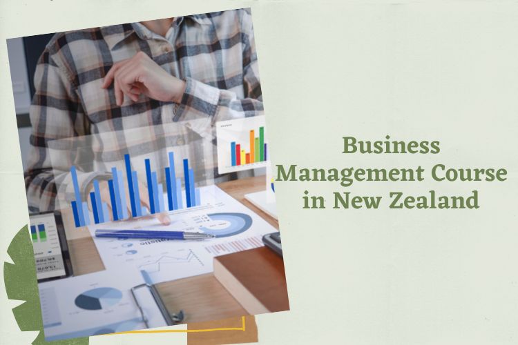 Business Management Degree NZ