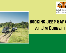 Jim Corbett National Park Charges