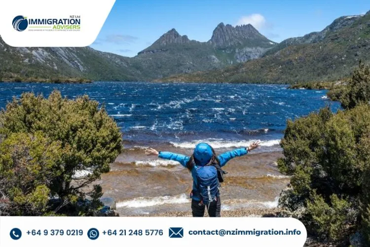Comprehensive Guide to Successfully Applying for a New Zealand Visitor Visa