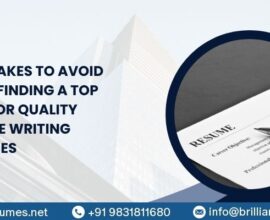 professional resume writing services in india