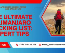 climb mount kilimanjaro