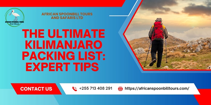climb mount kilimanjaro