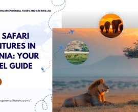 safari holidays tanzania