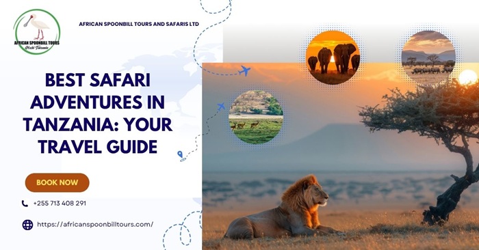 safari holidays tanzania