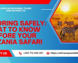 tanzania safari tours