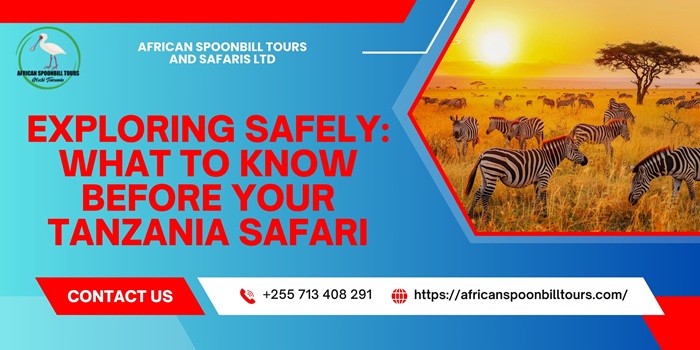 tanzania safari tours