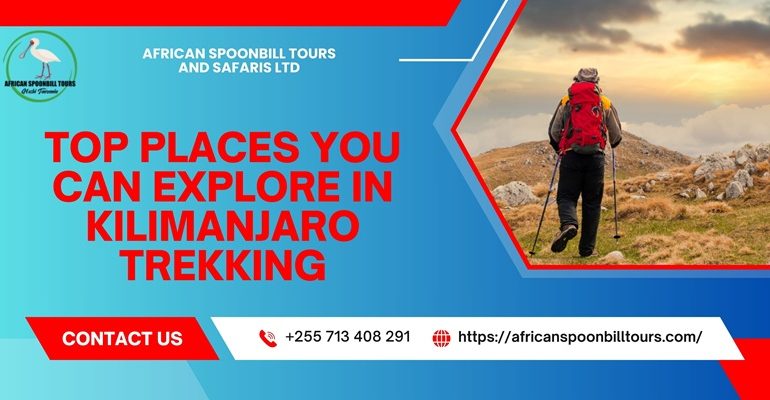 Kilimanjaro trekking packages