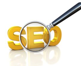 SEO Expert in India