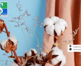 Cotton Yarn Manufacturer