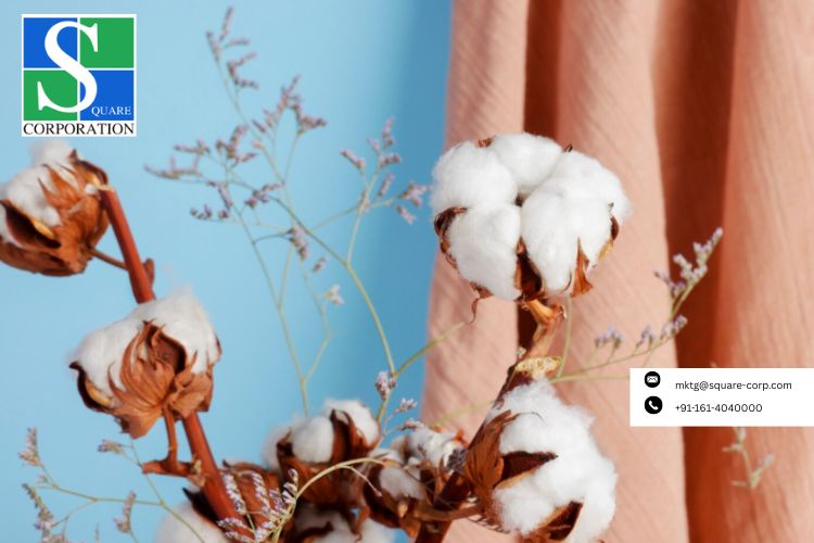 Cotton Yarn Manufacturer