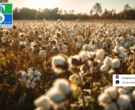 Recycled Polyester Fabric Manufacturers